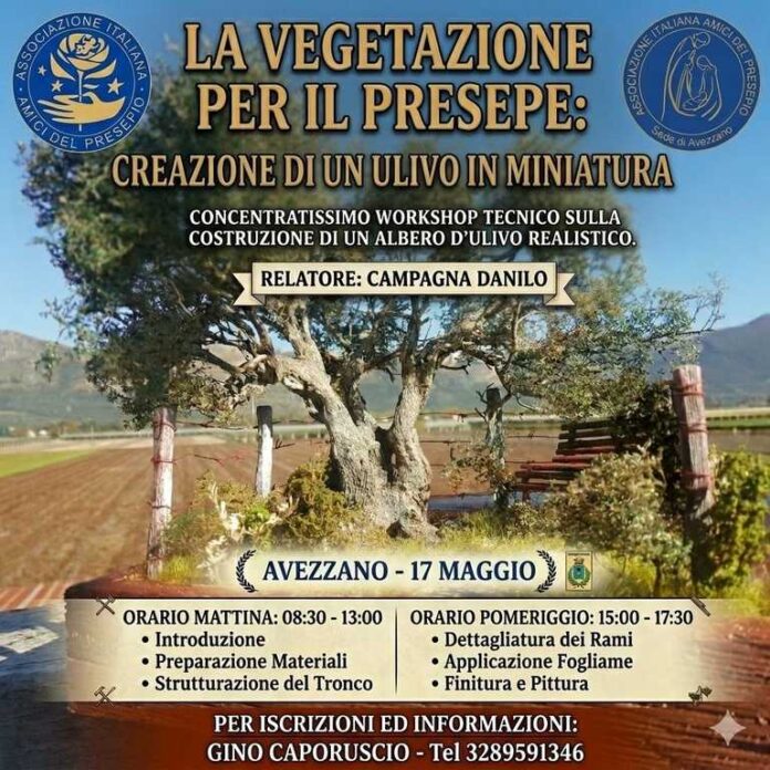 Sede AIAP Avezzano - Corso vegetazione presepe danilo campagna Sede AIAP Avezzano - Corso vegetazione presepe danilo campagna